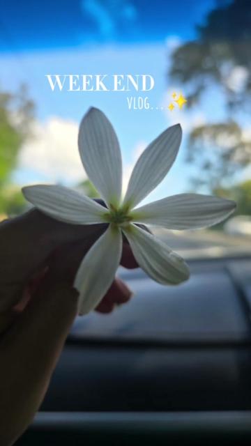 @theseekerdiaries
