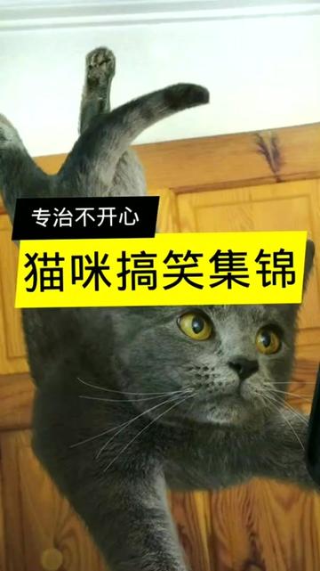 @dfhdhhd22