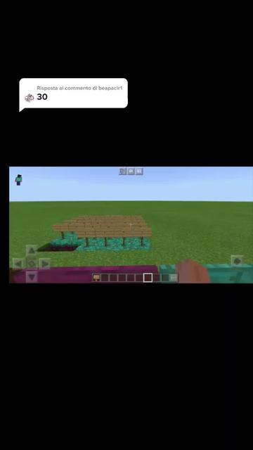 @minecraft_gamer_