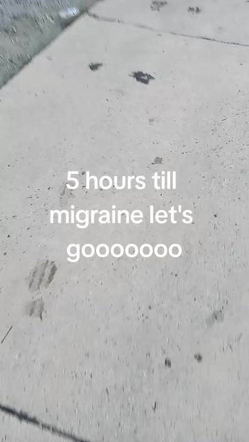 @dino