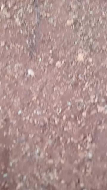 @Anand Babu
