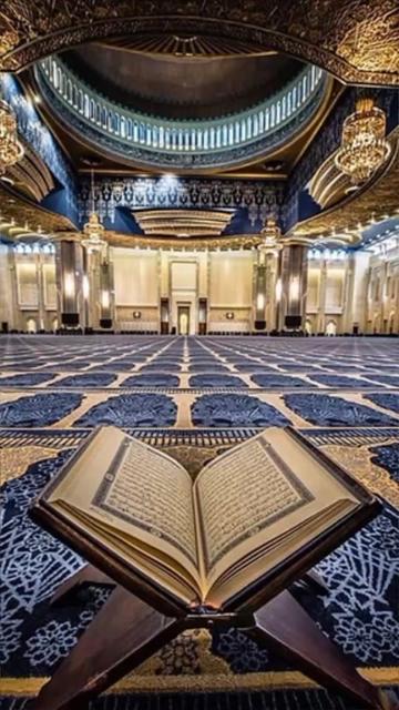 @salmansalman