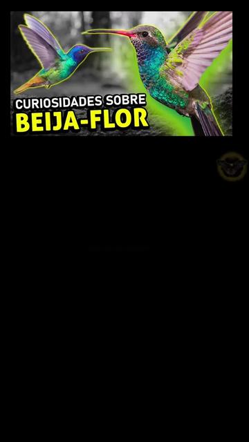 @Animal world guide