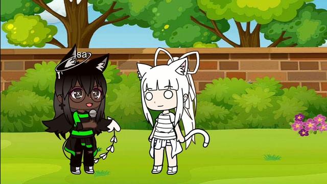 @aleatoria;-;