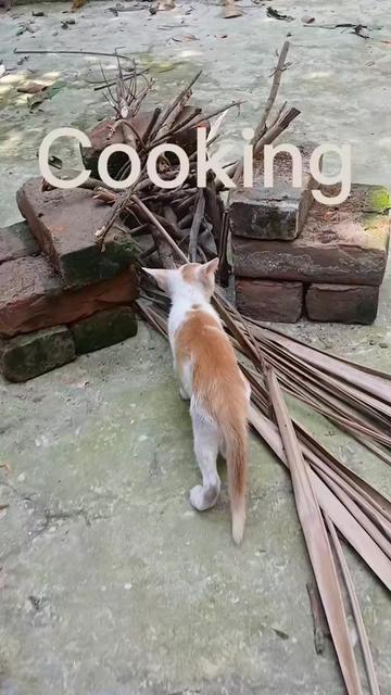 @Mon
