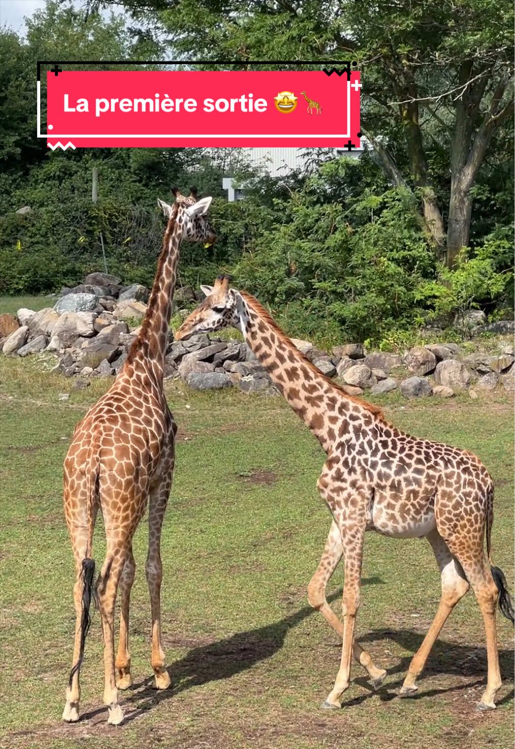 @Zoo de Granby