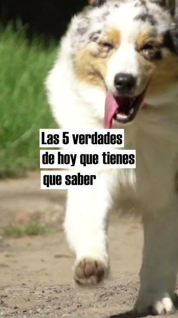 @lvn_noticias
