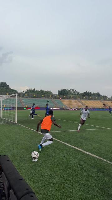 @Teammalian