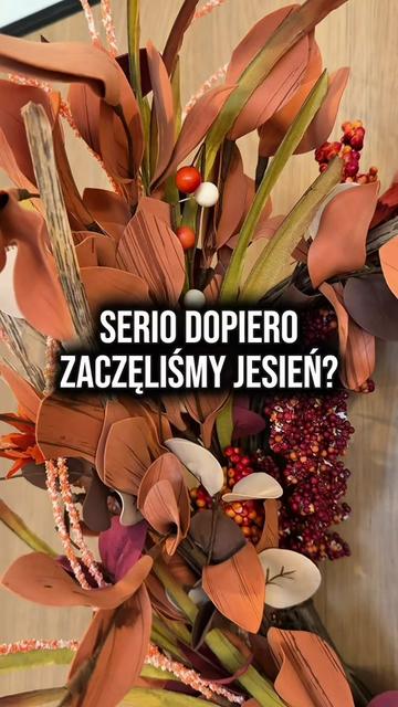 @pani_oszczednicka