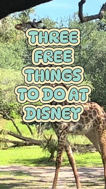 @lifetimeofmagic