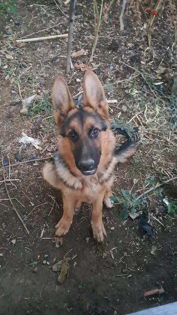 @Jack and iska