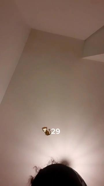 @pereiraadg29