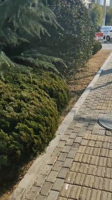 @VFXHD
