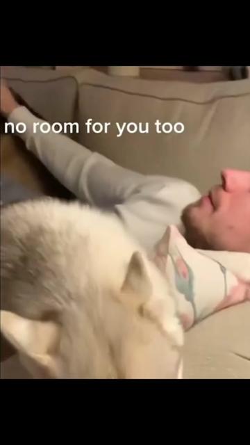 @wild_animal123