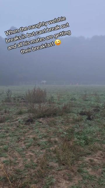 @sarah_cyanide