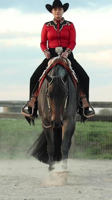 @Rachel ⚡️ Equine Photographer