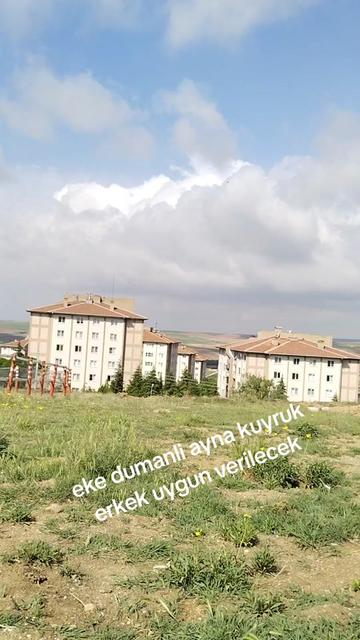 @🎲🎲oyunkusu.kirsehir40🎲🎲
