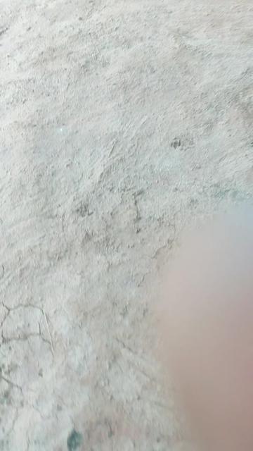 @bandari kanakaraju