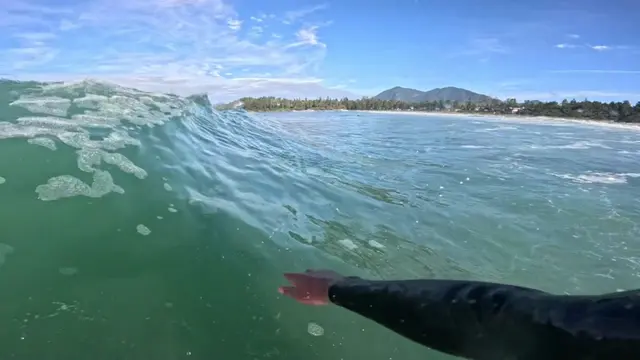 @oscarcc_surfs