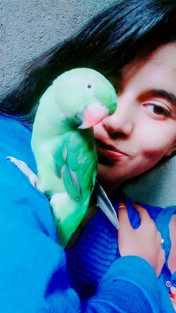 @❣️❤️Princess❤️❣️