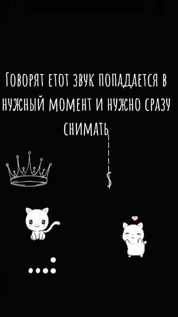 @[💙]Голубика🫐