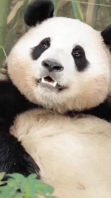 @ショウキンキ