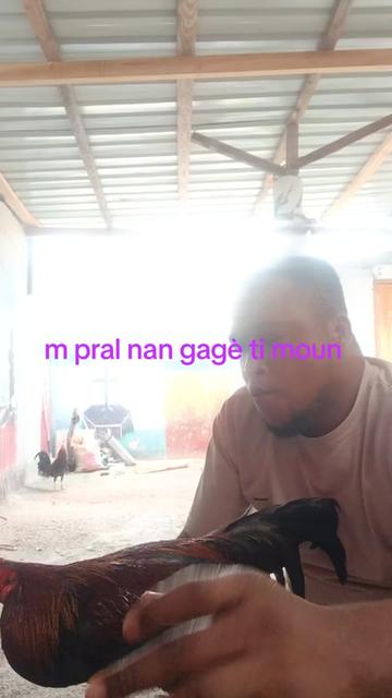 @rockyneg