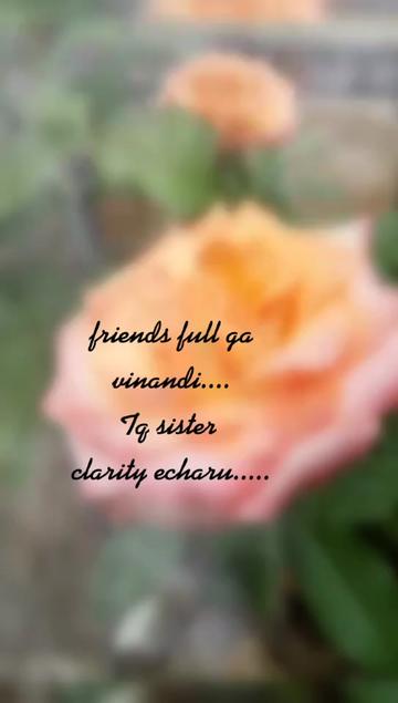 @santhu