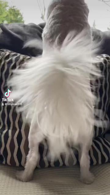 @LillyMae5