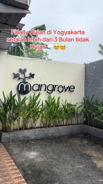 @Widodo