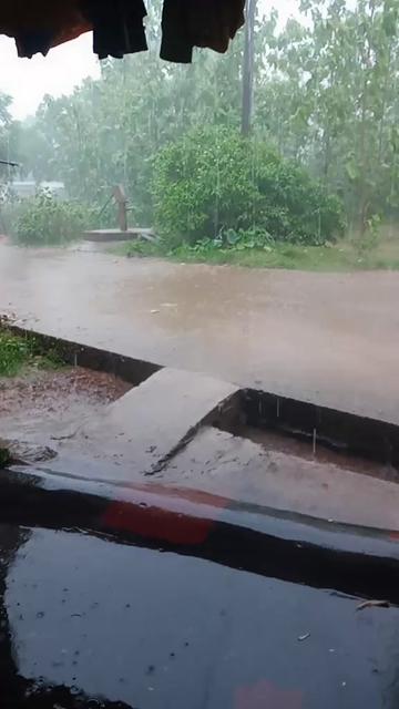@diptiranj&agrave;n.143