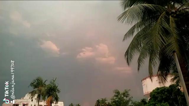@Nilanjana Mozumder