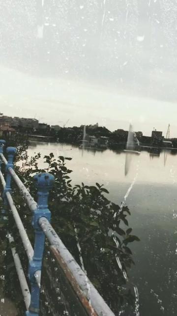 @gajruchi