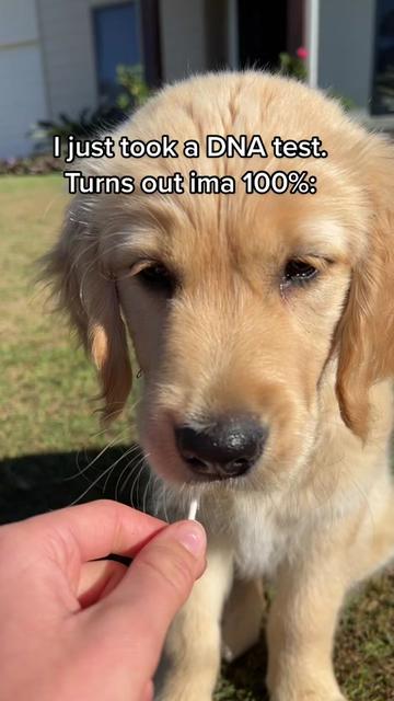 @Scout and Bailey 🐕🐶