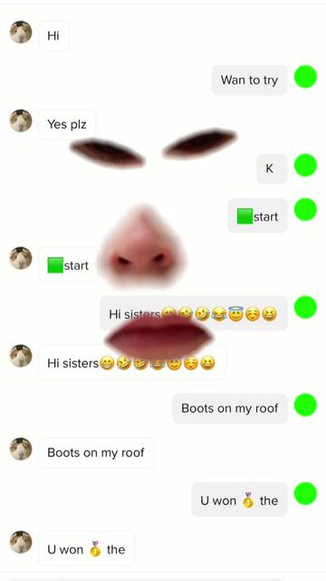@memebros21