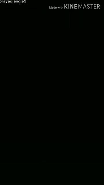 @@tik tok india