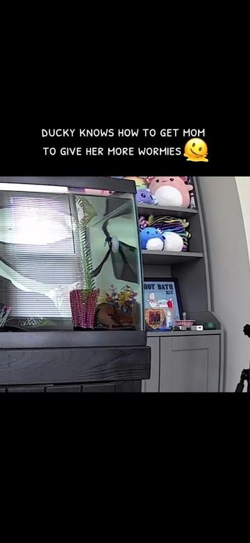 @JubJub