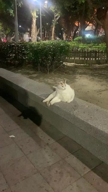 @蘇熙