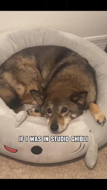 @Mako
