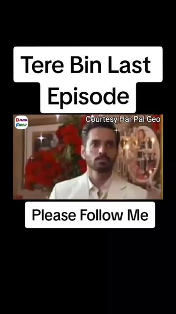@Tattri Expert