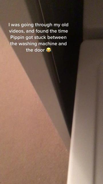 @Ayla