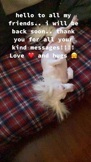 @LillyMae5