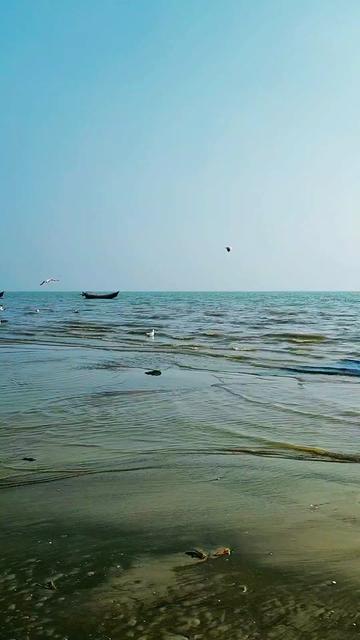 @Mosarraf_Emon