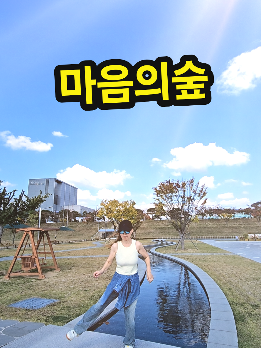 @틱톡왕비