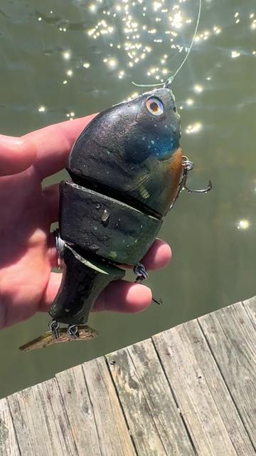 @Narrow Gate Baits