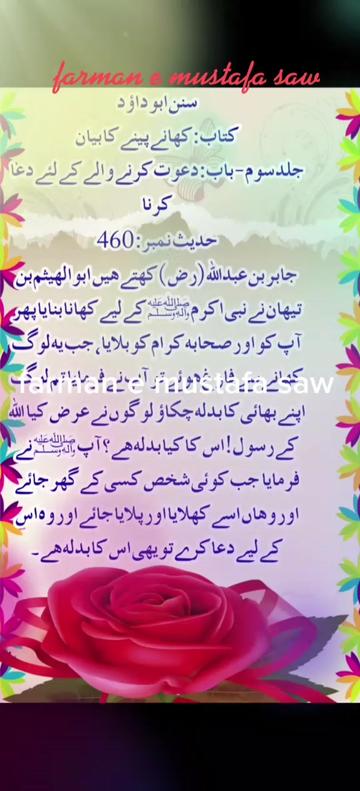 @Max Info