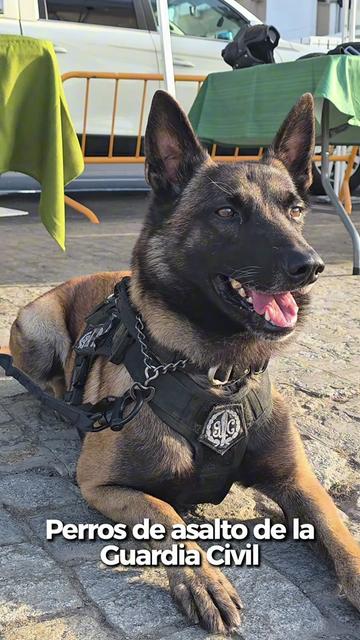 @Guardia Civil