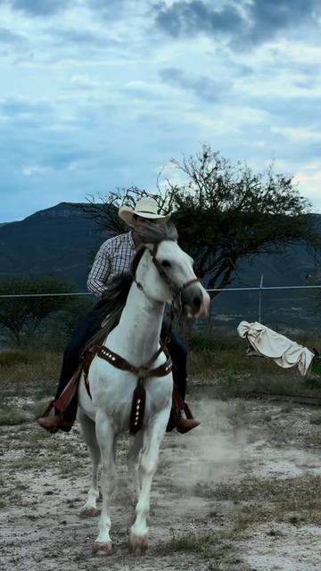 @Gustavo Galindo Navarro