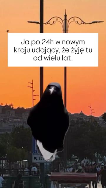 @W Innym Świecie