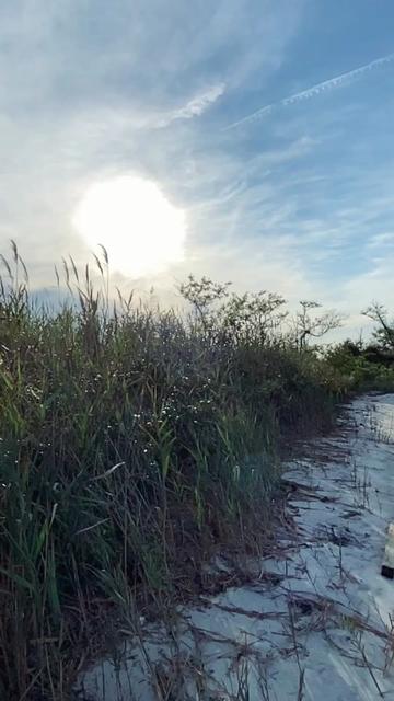 @MD:Shahriar Alom